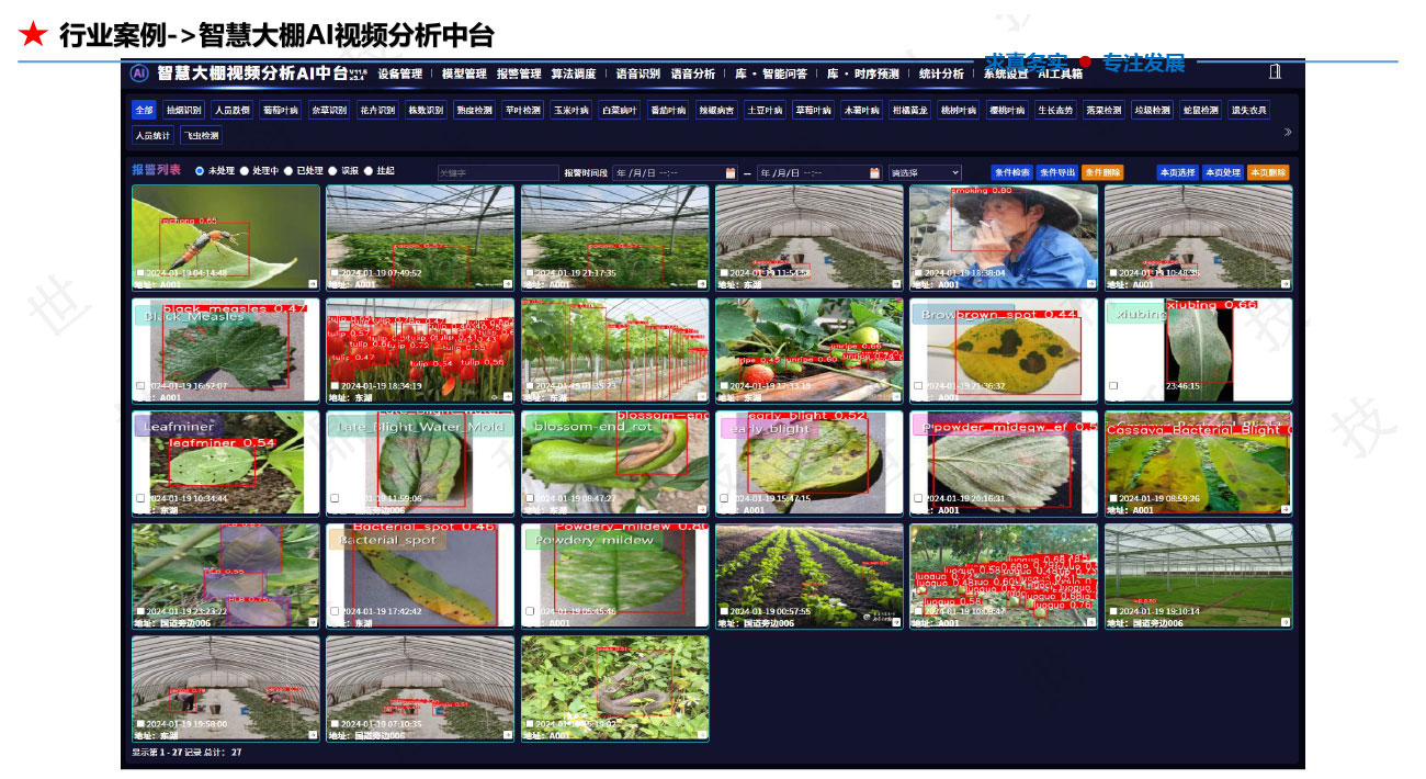 懒加载的图片 108