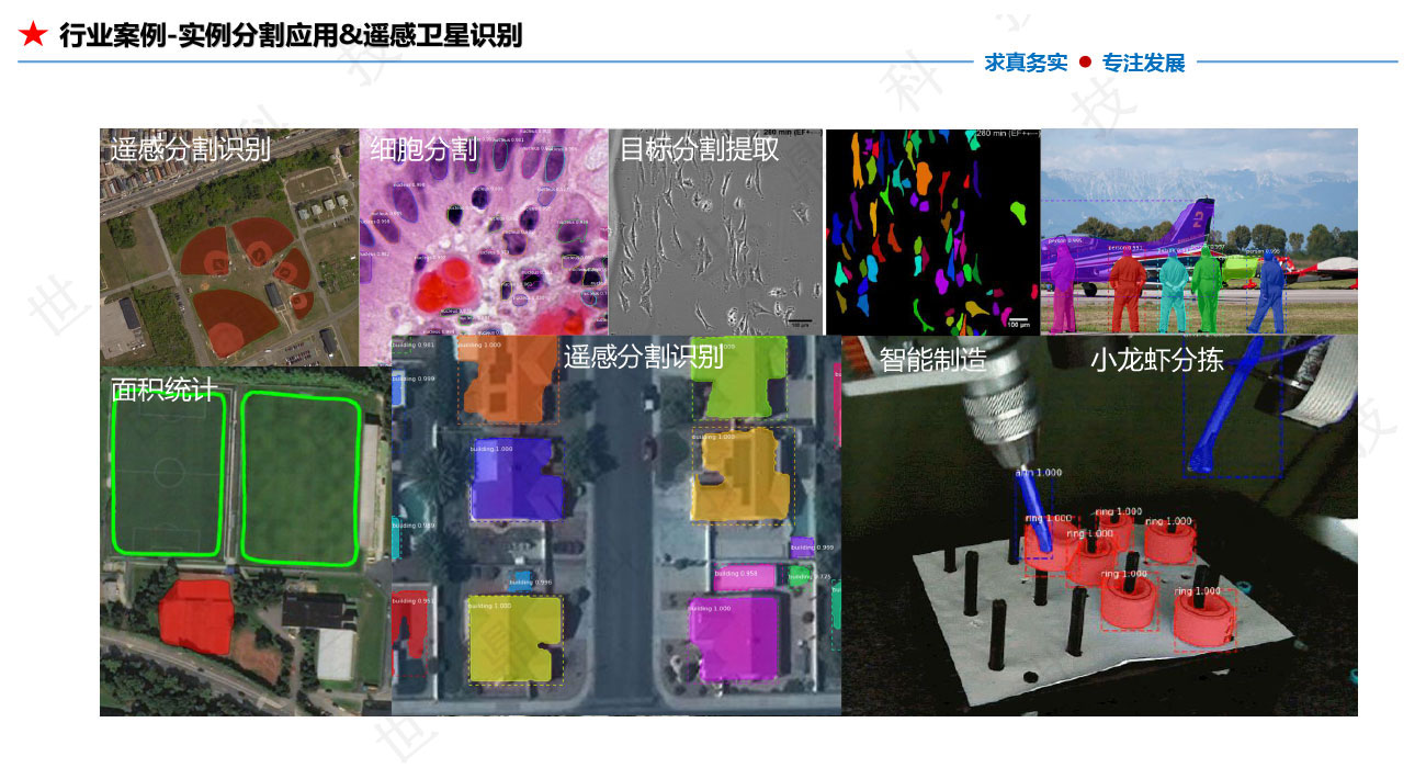 懒加载的图片 60
